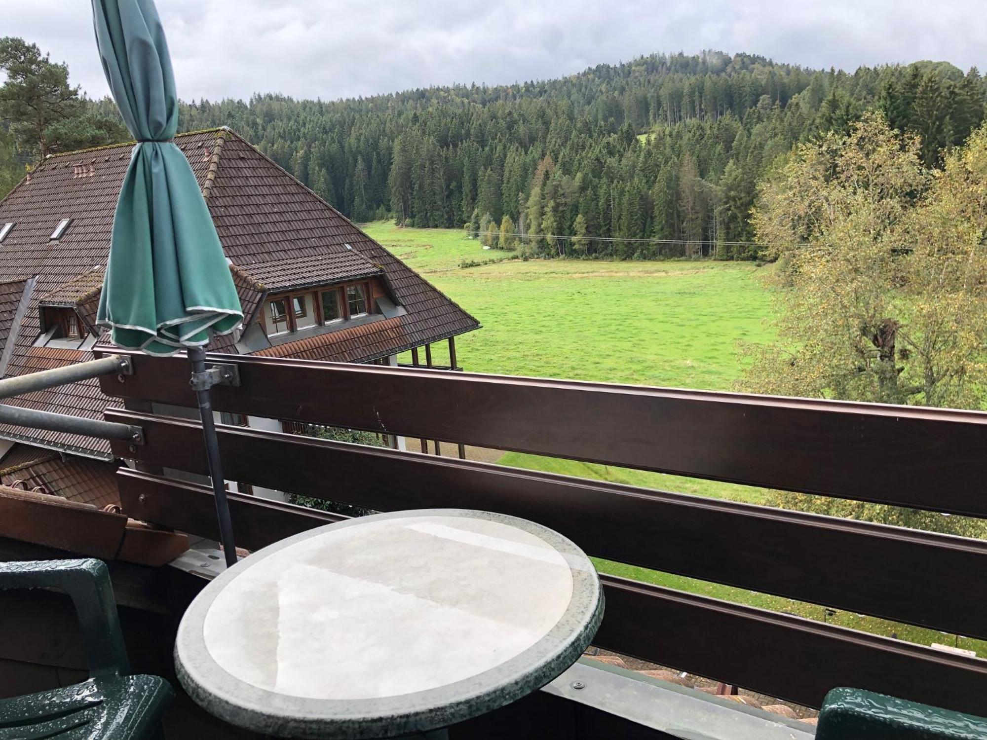 Ferienwohnung Hochschwarzwald Хинтерцартен Екстериор снимка